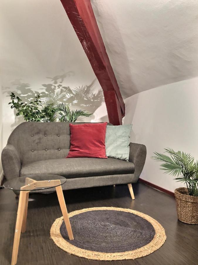 Wonderhost, Au Calme En Hypercentre Avec Parking Lejlighed Pau Eksteriør billede